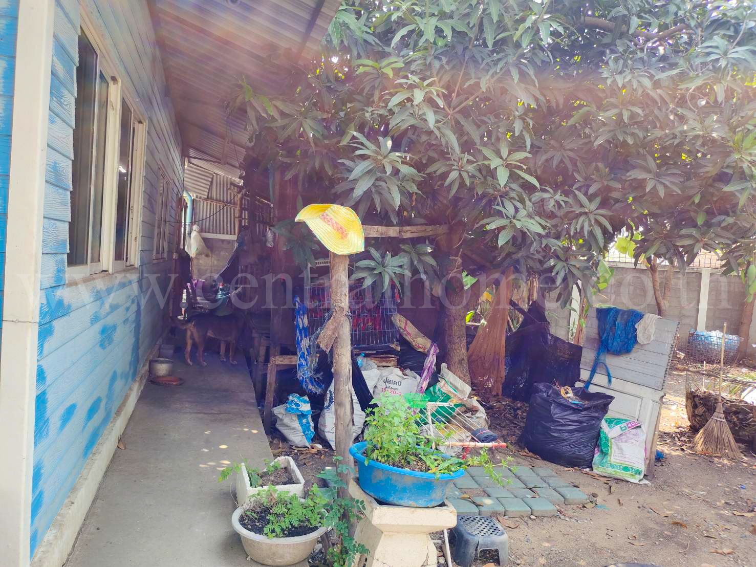 บ้านเดี่ยว สินเพชร บางบัวทอง