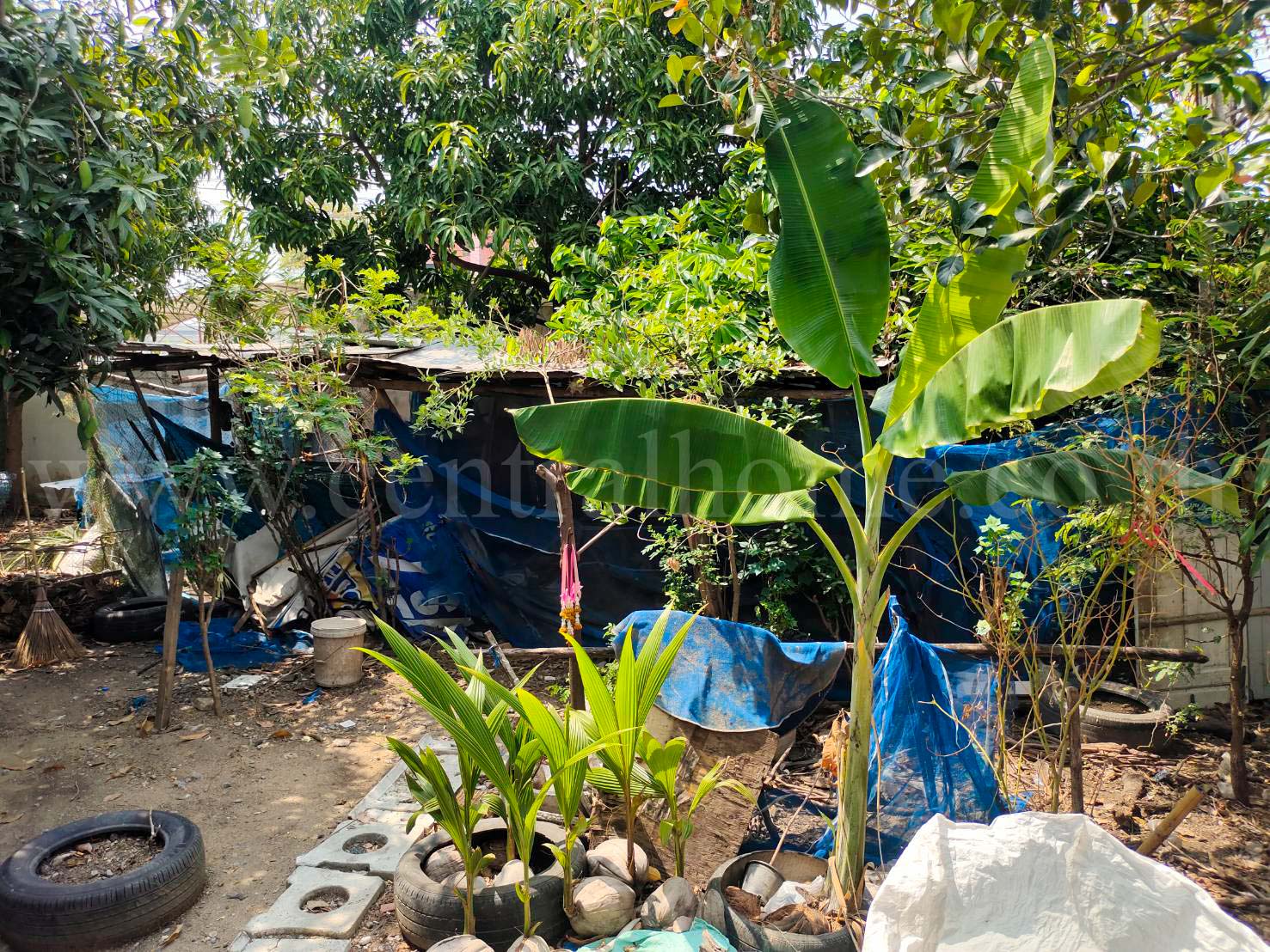บ้านเดี่ยว สินเพชร บางบัวทอง