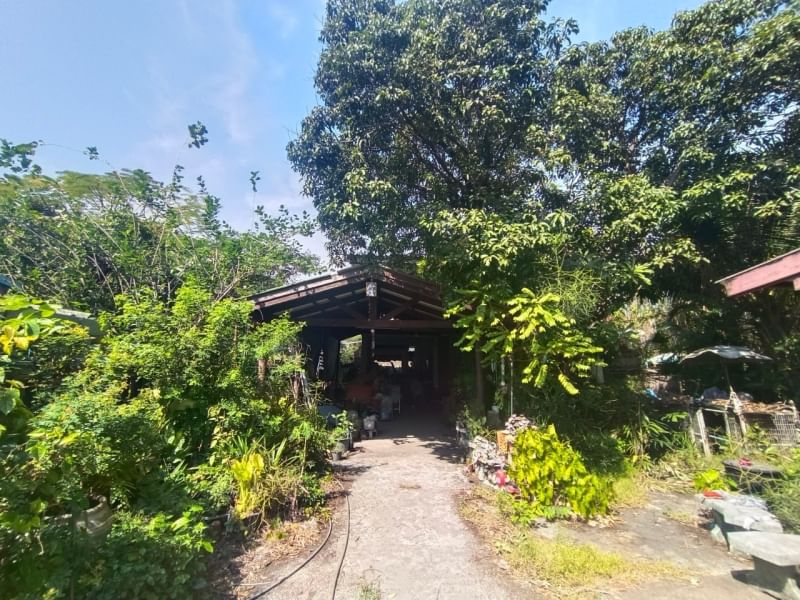 BB63 ขายที่ดิน 173 ตรว. พร้อมสิ่งปลูกสร้าง