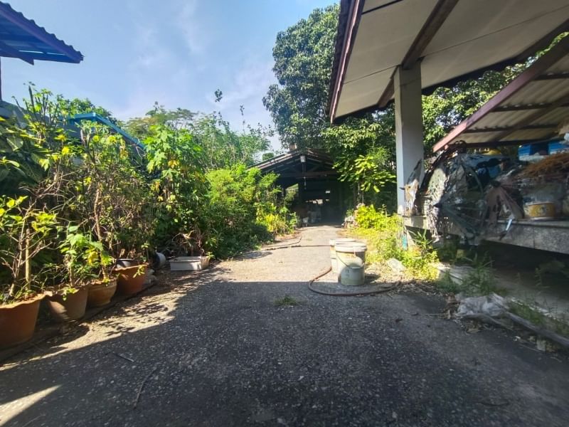 BB63 ขายที่ดิน 173 ตรว. พร้อมสิ่งปลูกสร้าง