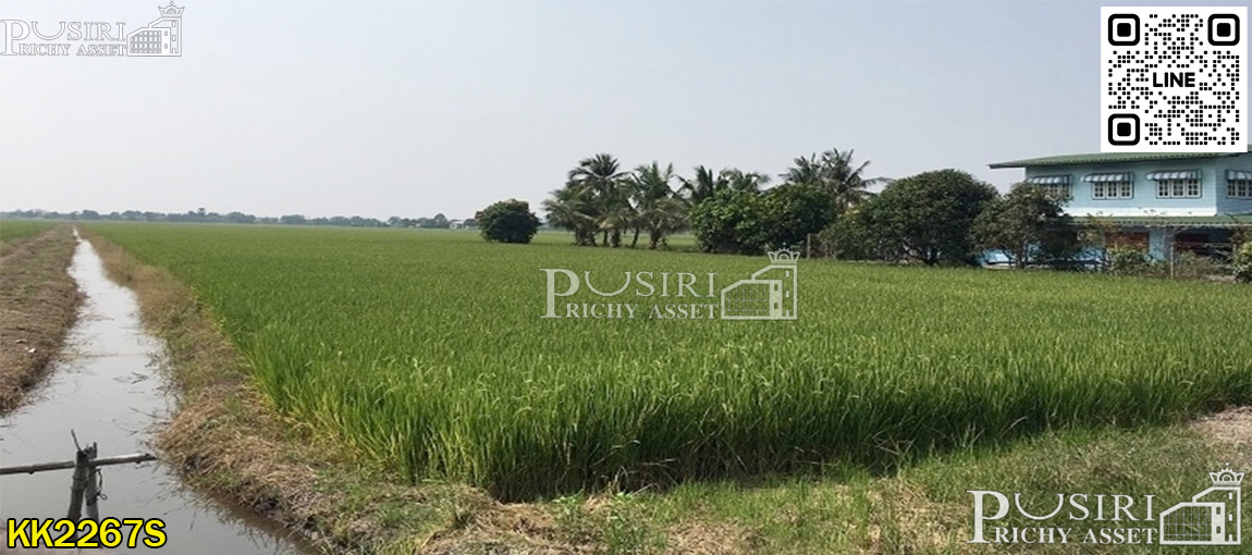 ที่ 14 ไร่เศษ ราคาโปรโมชั่น ติดถนนเลียบคลอง 4  ใกล้โรงเรียนวัดมงคลพุการาม 