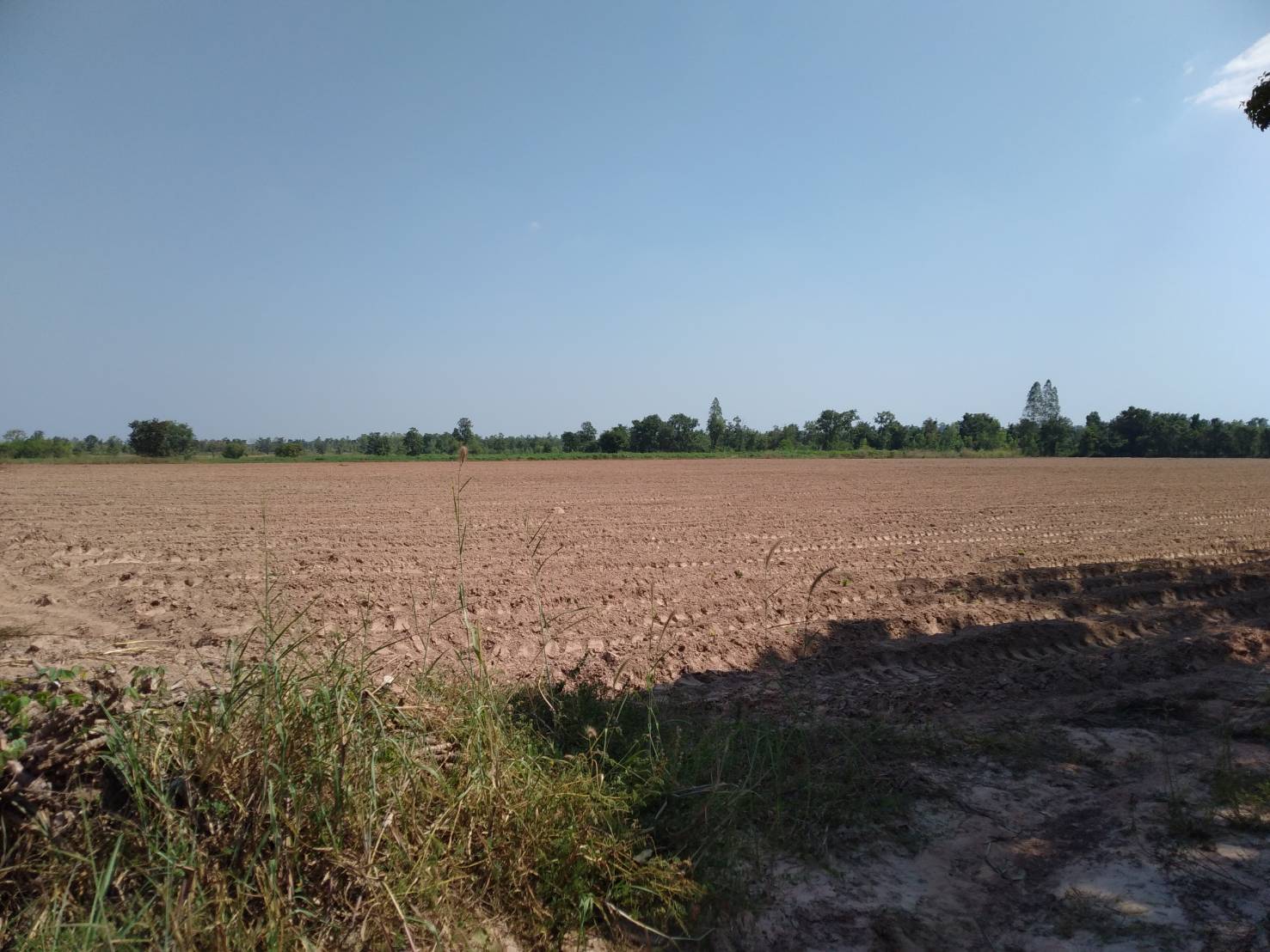 ขายที่ดิน 1-1-49 THB1,700,000 เชียงพิณ เมือง อุดรธานี