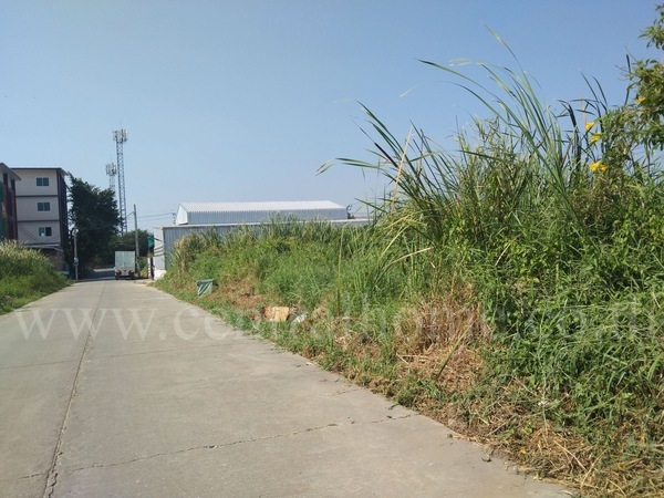 ที่ดินเปล่า หน้า หมู่บ้าน พฤกษา 16 บางใหญ่