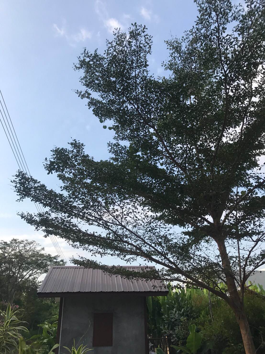 ขายกิจการที่พักพร้อมใบอนุญาต