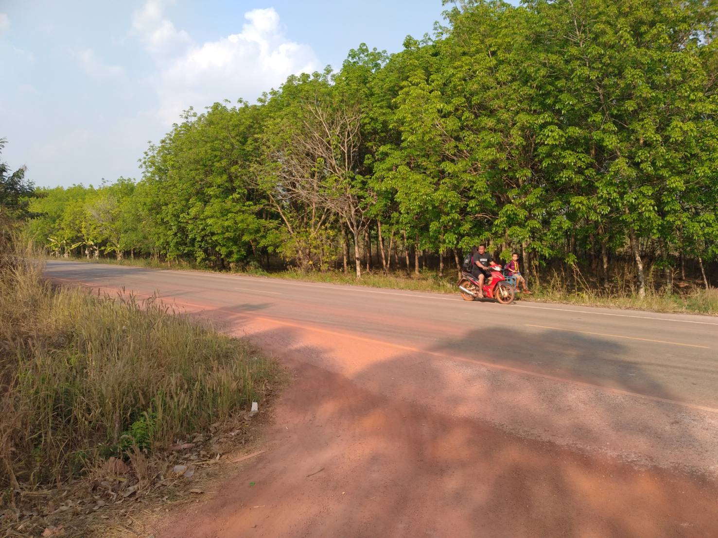 ขายที่ดิน 4-0-34 THB800,000 ดงเหนือ บ้านม่วง สกลนคร