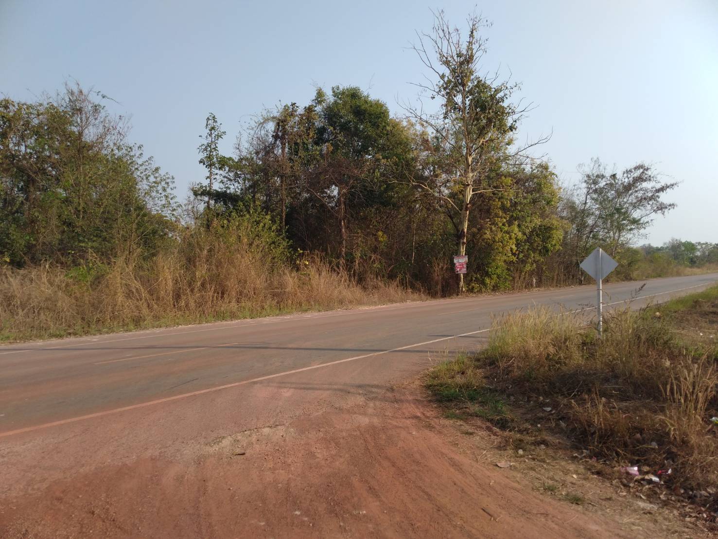 ขายที่ดิน 4-0-34 THB800,000 ดงเหนือ บ้านม่วง สกลนคร