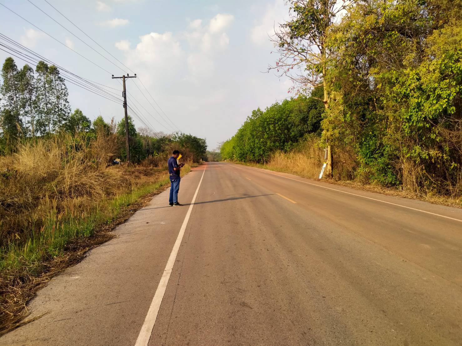 ขายที่ดิน 4-0-34 THB800,000 ดงเหนือ บ้านม่วง สกลนคร