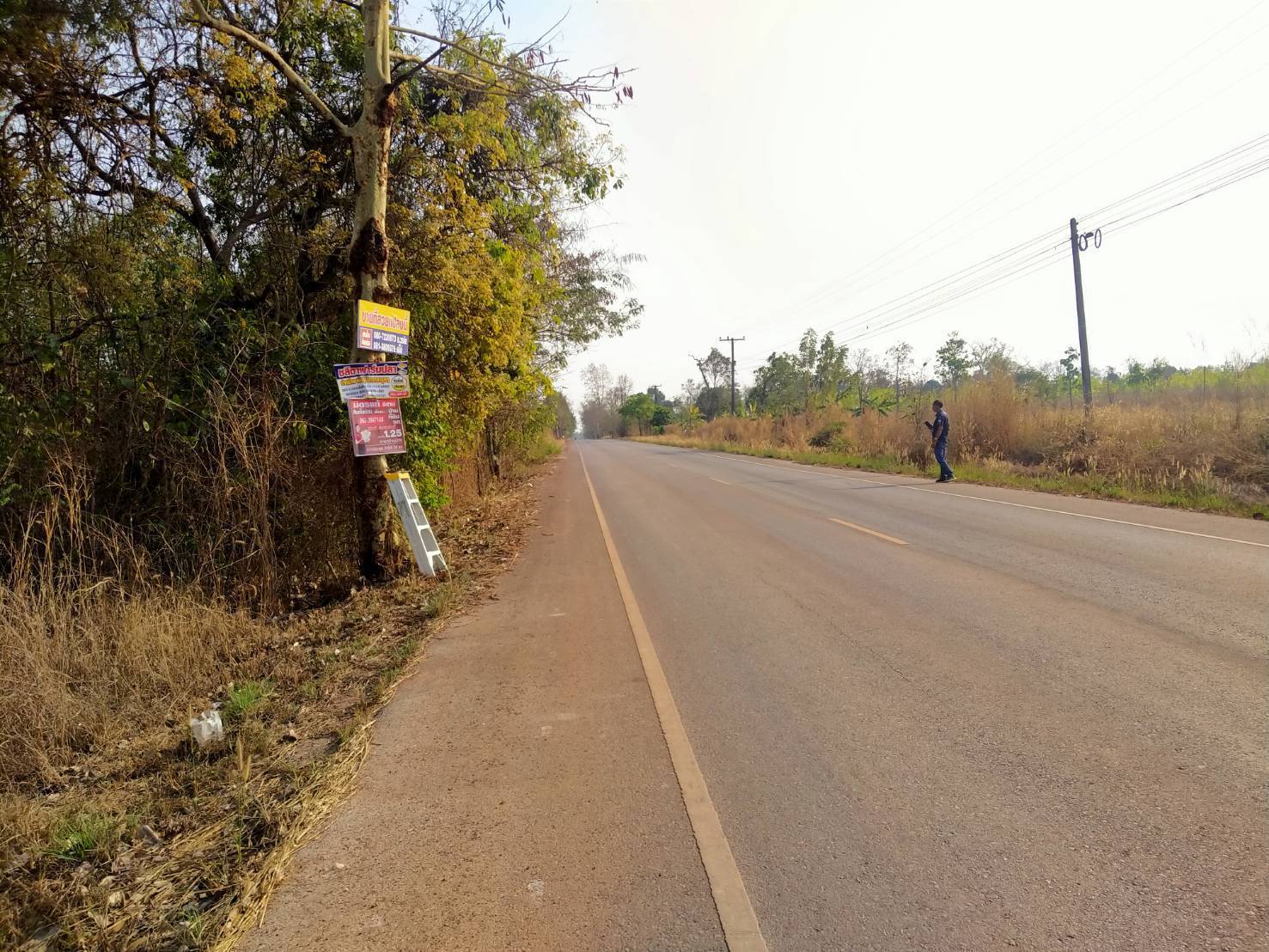 ขายที่ดิน 4-0-34 THB800,000 ดงเหนือ บ้านม่วง สกลนคร