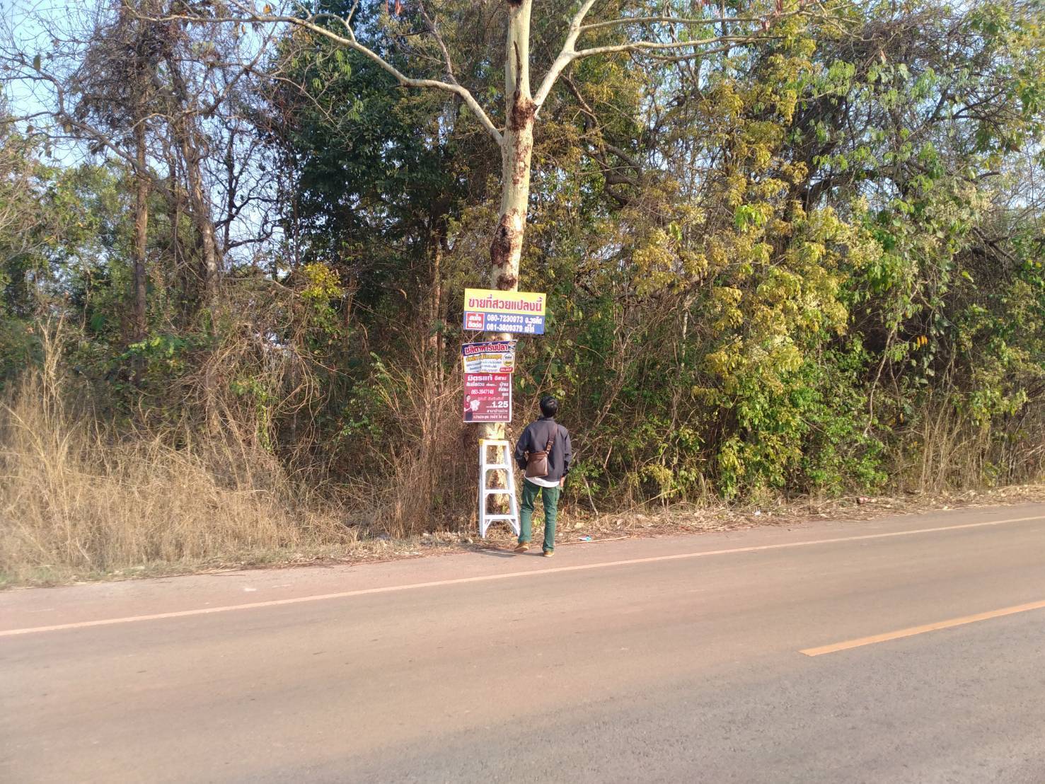 ขายที่ดิน 4-0-34 THB800,000 ดงเหนือ บ้านม่วง สกลนคร