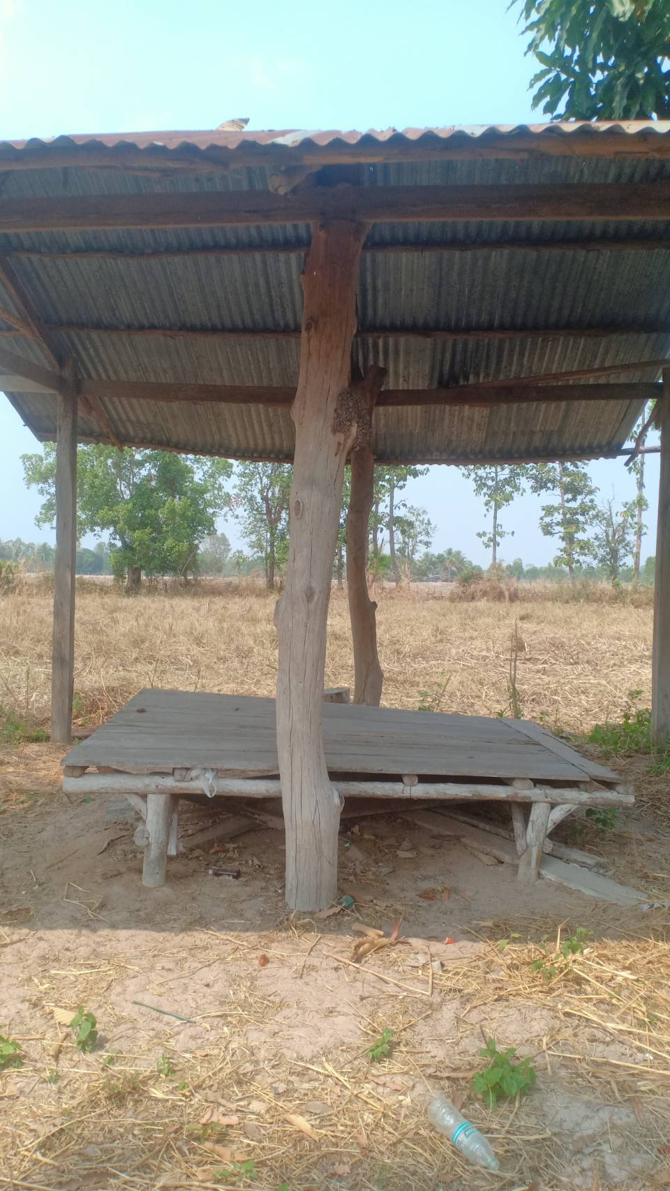 ขายที่ดิน 15-0-0 THB3,750,000  ผักตบ หนองหาน อุดรธานี