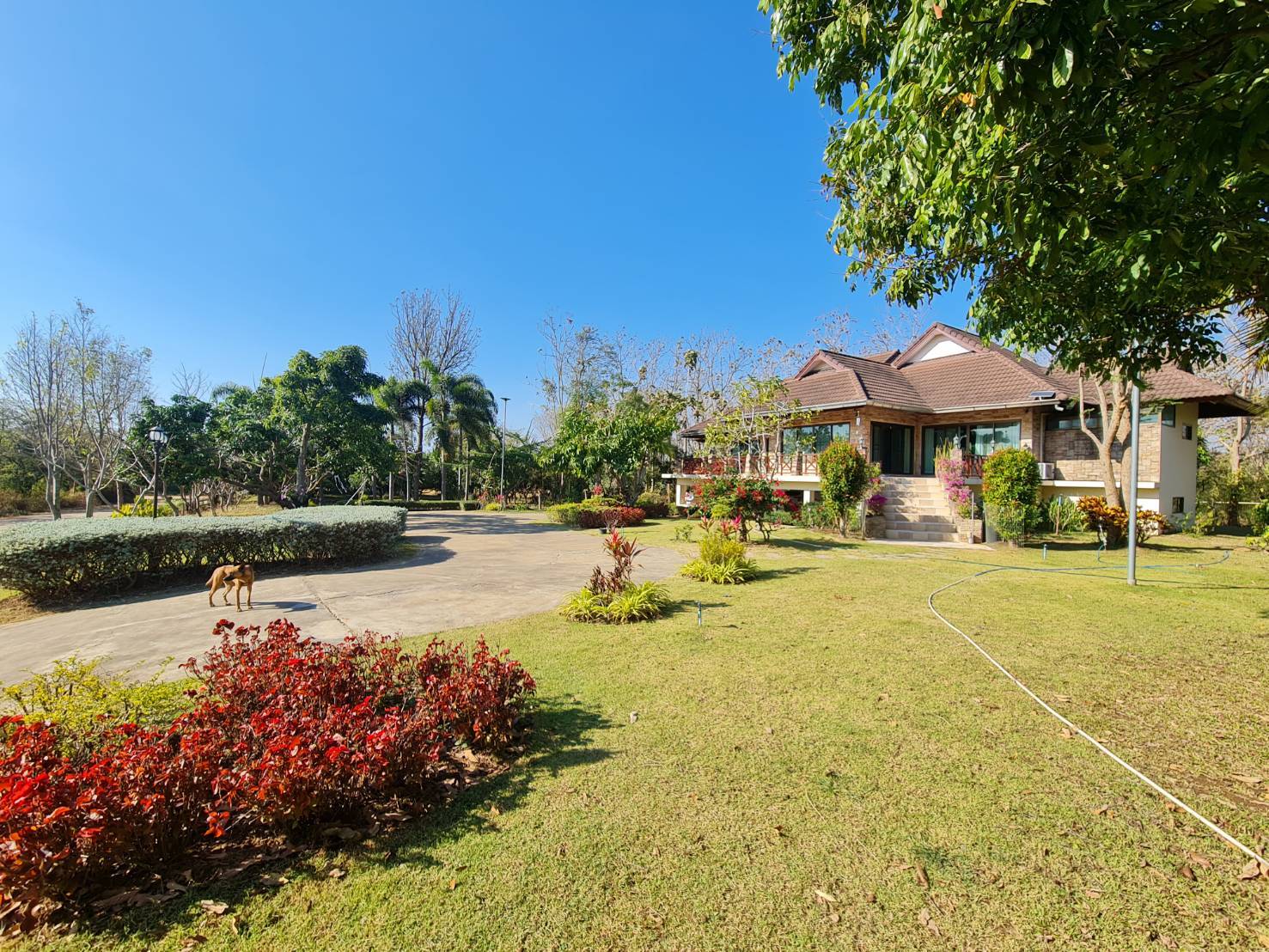ขายคฤหาสน์ 3-0-21 THB29,000,000 ปากช่อง ปากช่อง นครราชสีมา