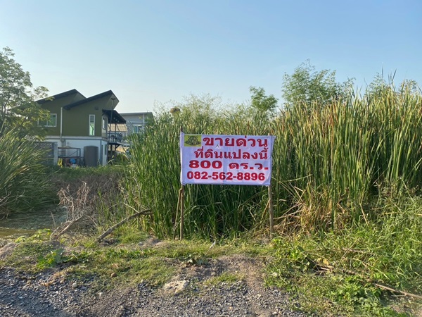 ขายที่ดินเปล่า แถวหน้าไม้ ซอยหวังเต๊ะ ลาดหลุมแก้ว จังหวัดปทุมธานี