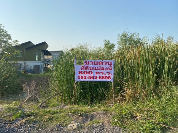 ขายที่ดินเปล่า แถวหน้าไม้ ซอยหวังเต๊ะ ลาดหลุมแก้ว จังหวัดปทุมธานี