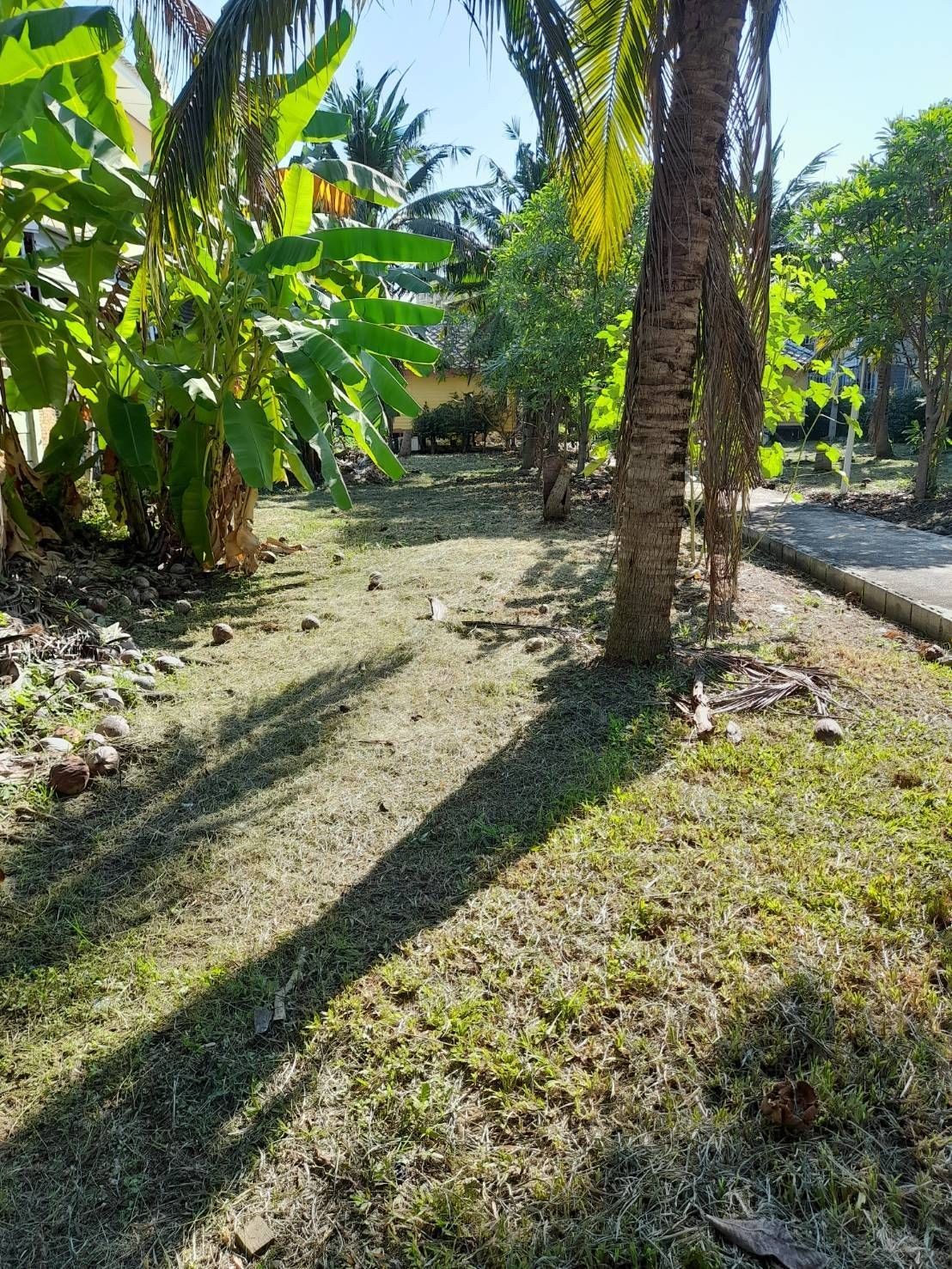 ขายที่ดิน 2 ไร่ ตรงข้าม ม.เกษตรศาสตร์ กำแพงแสน จ. นครปฐม ห่างถนนมาลัยแมนเพียง 30 เมตร