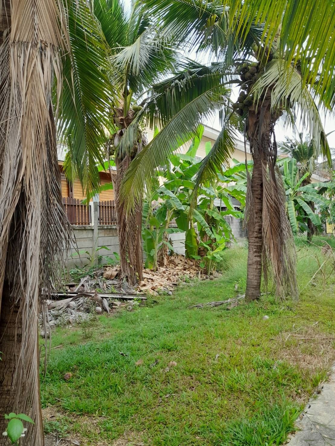 ขายที่ดิน 2 ไร่ ตรงข้าม ม.เกษตรศาสตร์ กำแพงแสน จ. นครปฐม ห่างถนนมาลัยแมนเพียง 30 เมตร