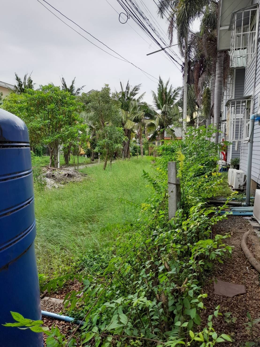 ขายที่ดิน 2 ไร่ ตรงข้าม ม.เกษตรศาสตร์ กำแพงแสน จ. นครปฐม ห่างถนนมาลัยแมนเพียง 30 เมตร