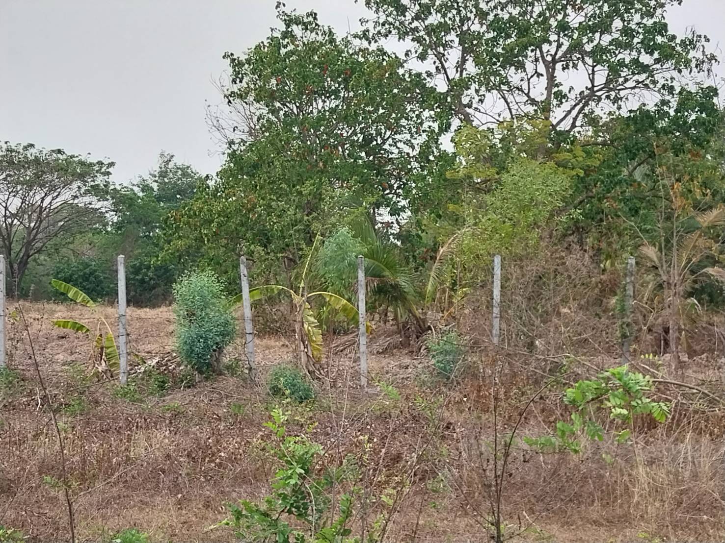 ขายที่ดิน 6-0-0 THB4,800,000 เชียงยืน เมือง อุดรธานี