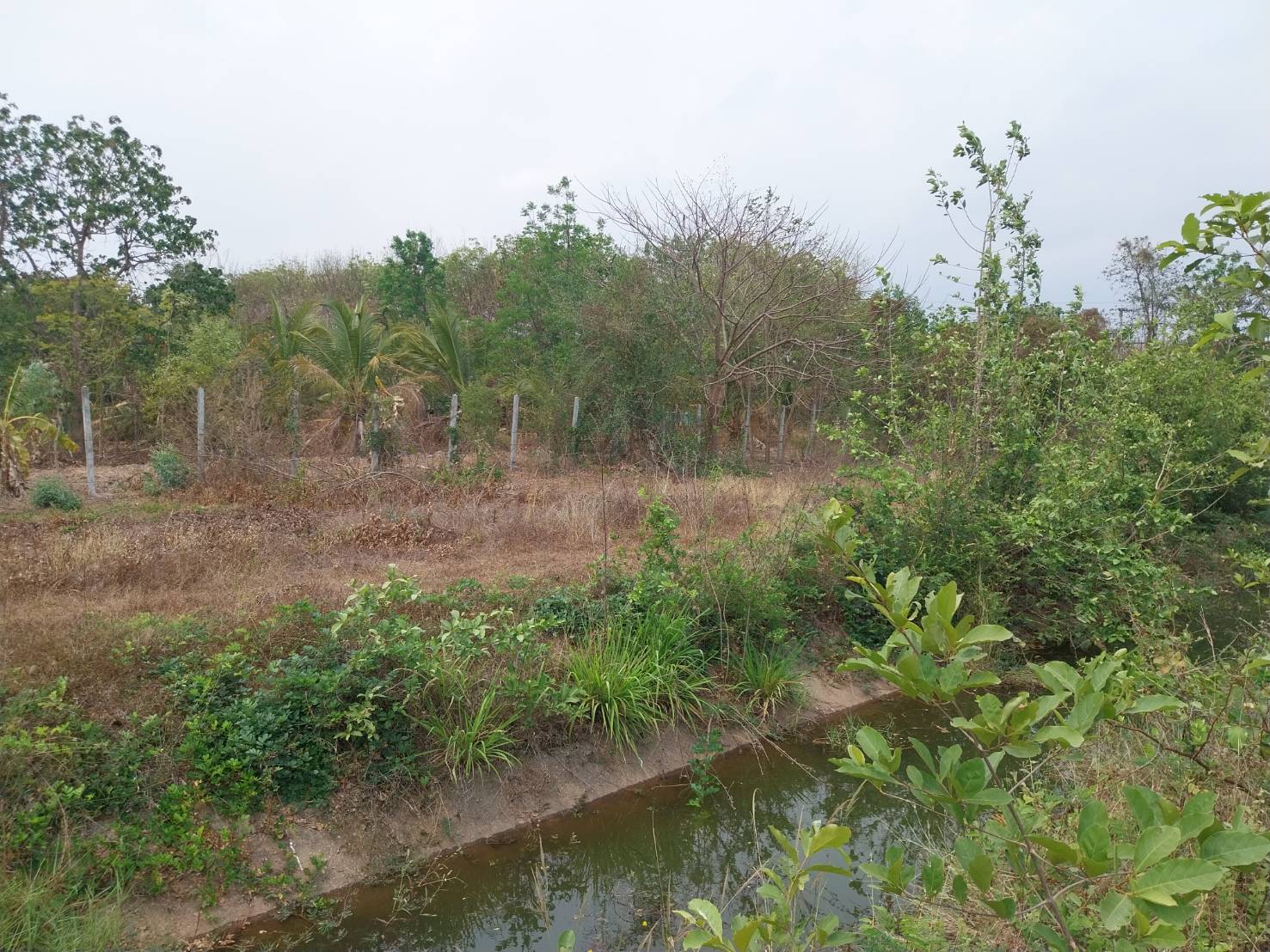 ขายที่ดิน 6-0-0 THB4,800,000 เชียงยืน เมือง อุดรธานี