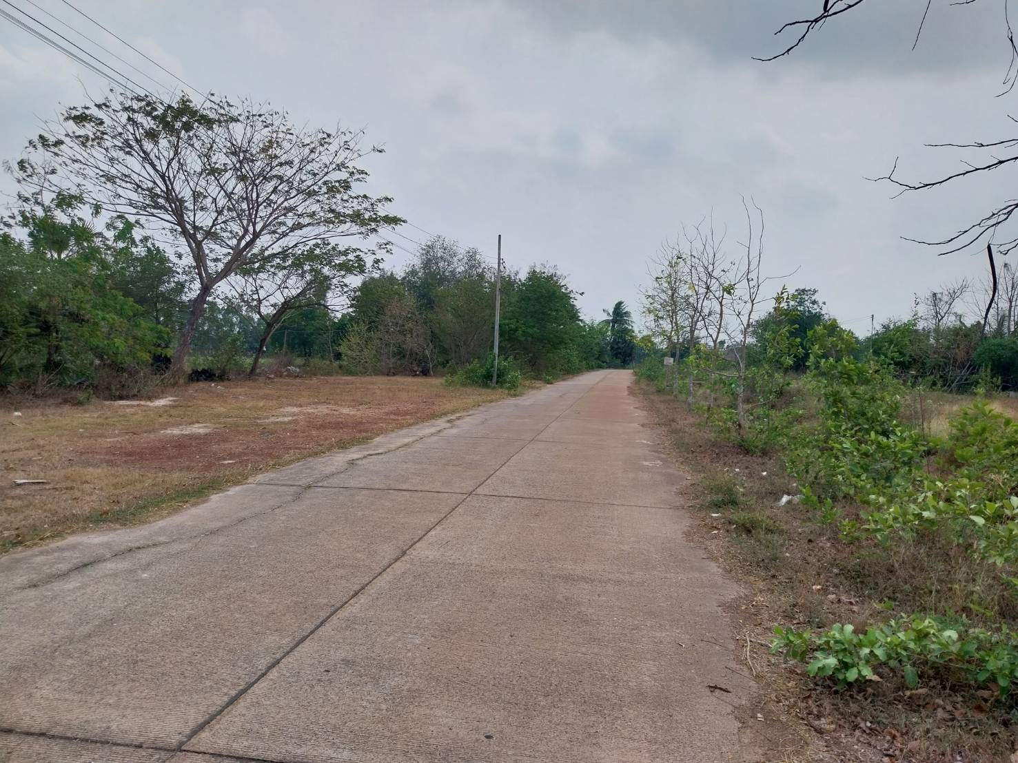 ขายที่ดิน 6-0-0 THB4,800,000 เชียงยืน เมือง อุดรธานี