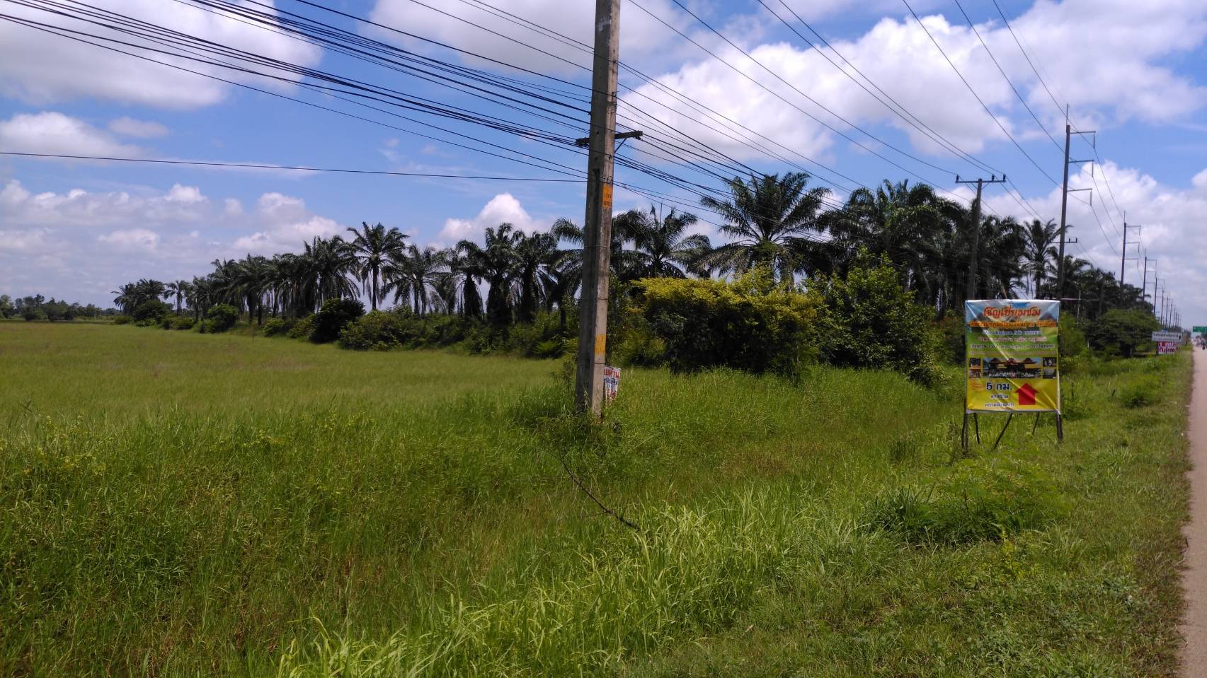 ขายที่ดิน 42-2-20.6 THB212,757,500 บ้านขาว เมือง อุดรธานี