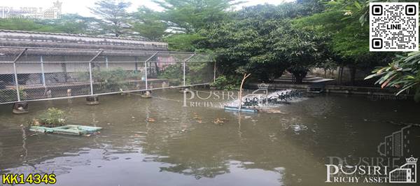 ขายที่ดิน 7 ไร่ พร้อม พื้นที่ใช้สอยลานคอนกรีตเต็มพื้นที่ มีโรงงาน โกดัง สำนักงาน อุปกรณ์และใบ รง.4 ครบถ้วน แถมติดถนน 2