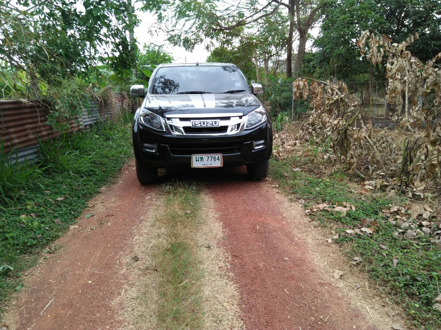 ขายที่ดิน 0-2-49.3 THB990,000 หนองกอมเกาะ เมือง หนองคาย