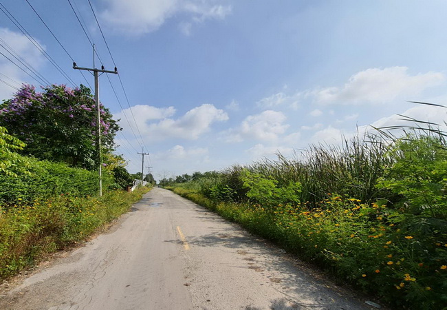 ขายที่ดินคลอง 10 ถนนรังสิต-นายก อำเภอธัญบุรี ปทุมธานี