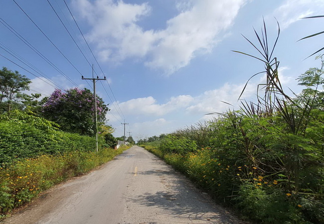 ขายที่ดินคลอง 10 ถนนรังสิต-นายก อำเภอธัญบุรี ปทุมธานี