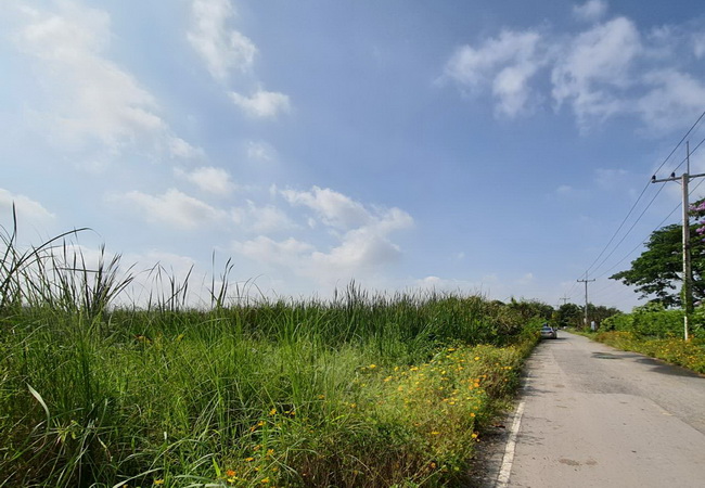 ขายที่ดินคลอง 10 ถนนรังสิต-นายก อำเภอธัญบุรี ปทุมธานี