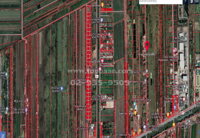 ขายที่ดินคลอง 10 ถนนรังสิต-นายก อำเภอธัญบุรี ปทุมธานี