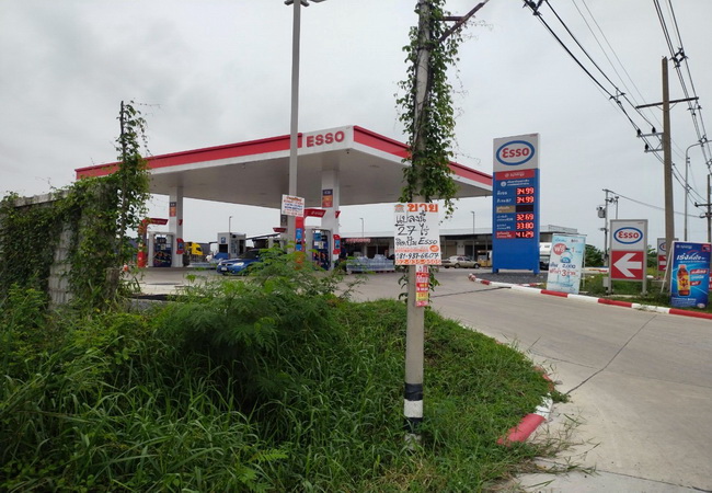 ขายที่ดินคลอง 13 ถนนลำลูกกา อำเภอลำลูกกา ปทุมธานี