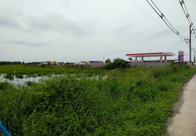 ขายที่ดินคลอง 13 ถนนลำลูกกา อำเภอลำลูกกา ปทุมธานี
