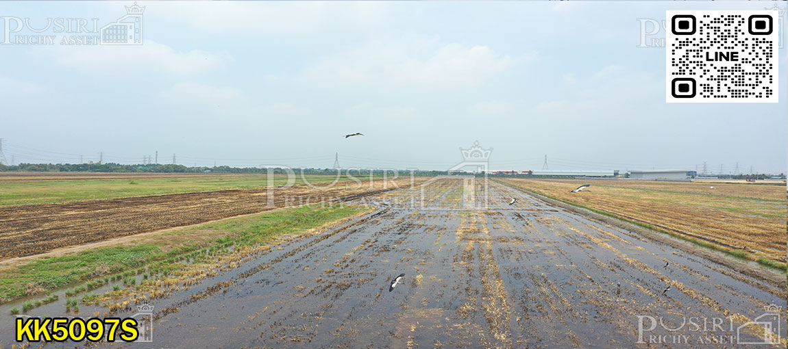 ที่สีม่วง ไทรน้อย นนทบุรี เกือบ 19 ไร่ ใช้เทรลเลอร์ได้สะดวก ครบครันไฟฟ้า 3 เฟส ท่อระบายน้ำ ราคาสุดคุ้ม  kk5097s