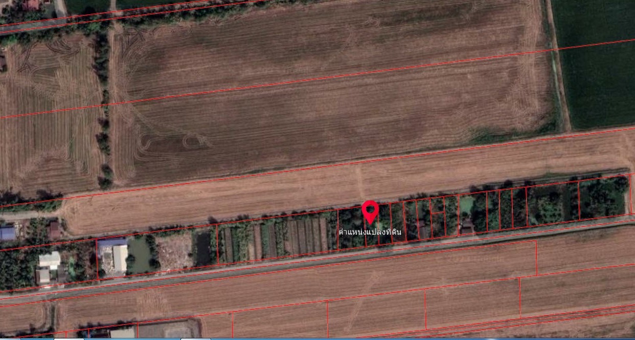 ขายที่ดิน 1 งาน ตำบลพืชอุดม อำเภอลำลูกกา จังหวัดปทุมธานี ราคาพิเศษ!!