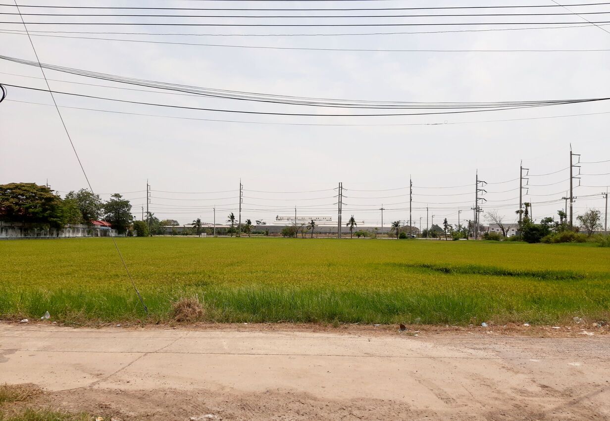 ขายที่ดินแปลงสวย 11 ไร่ 94 ตารางวา ใกล้ชิดแม่น้ำท่าจีน ตำบลท่าเสา อำเภอกระทุ่มแบน จังหวัดสมุทรสาคร