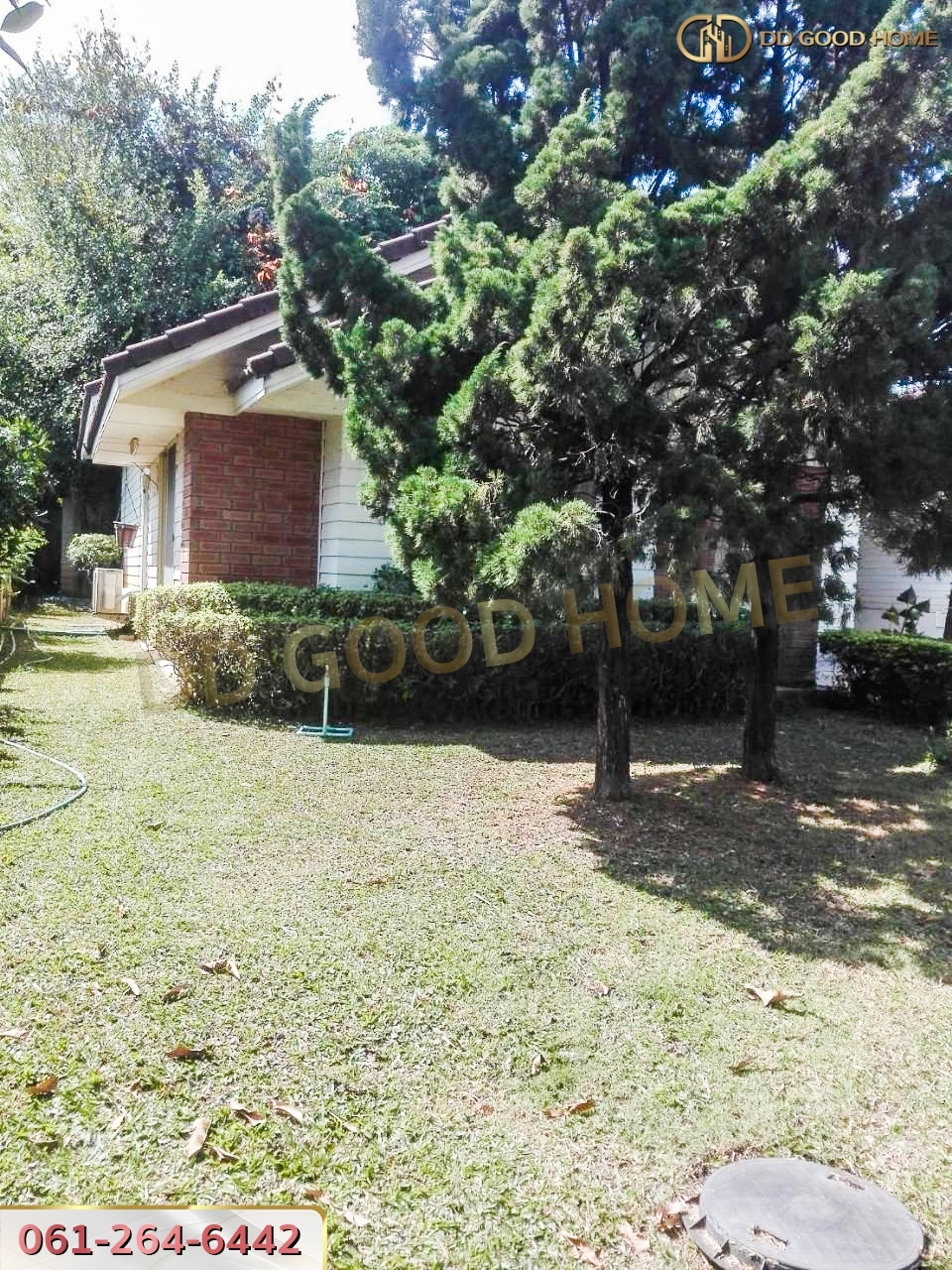 ขายที่ดินสวนผลไม้ พร้อมสิ่งปลูกสร้าง ชุมพร