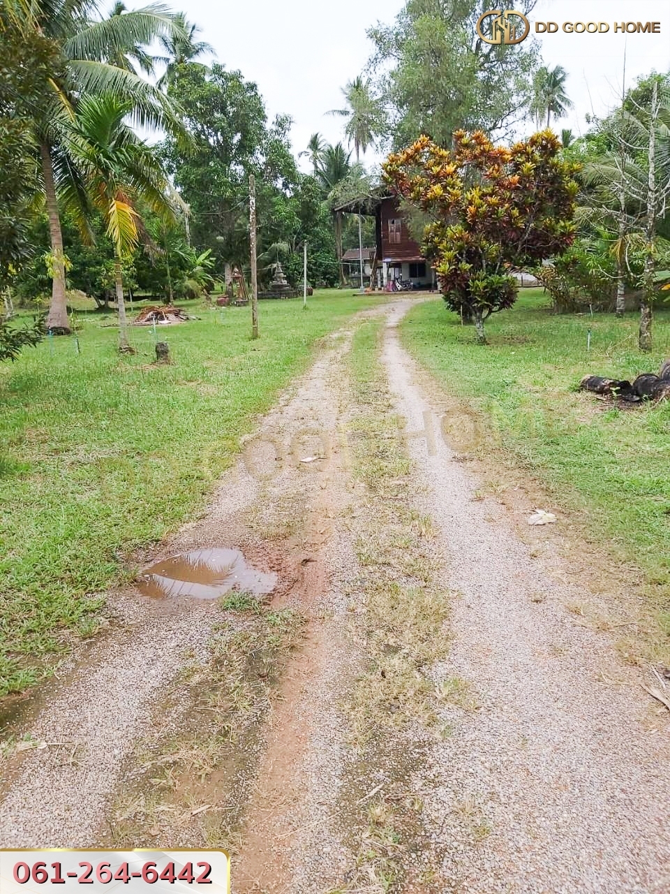 ขายที่ดินสวนผลไม้ พร้อมสิ่งปลูกสร้าง ชุมพร