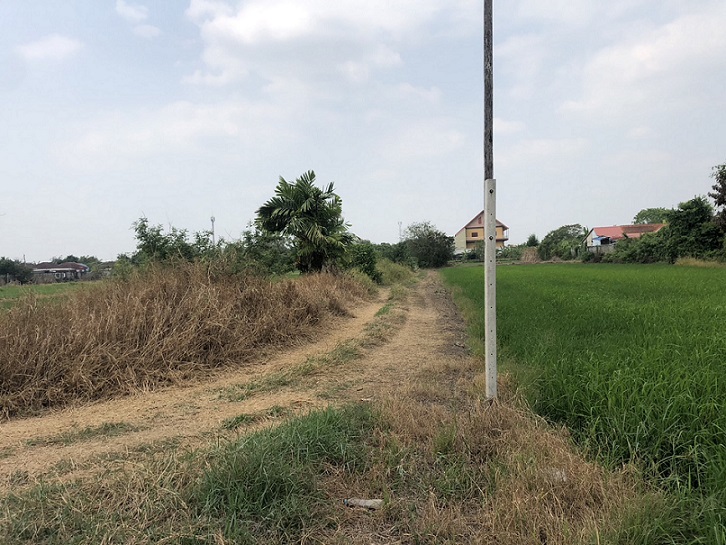 ขายที่ดิน บางใหญ่ นนทบุรี