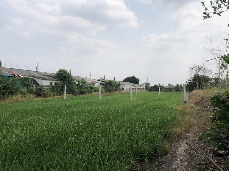ขายที่ดิน บางใหญ่ นนทบุรี