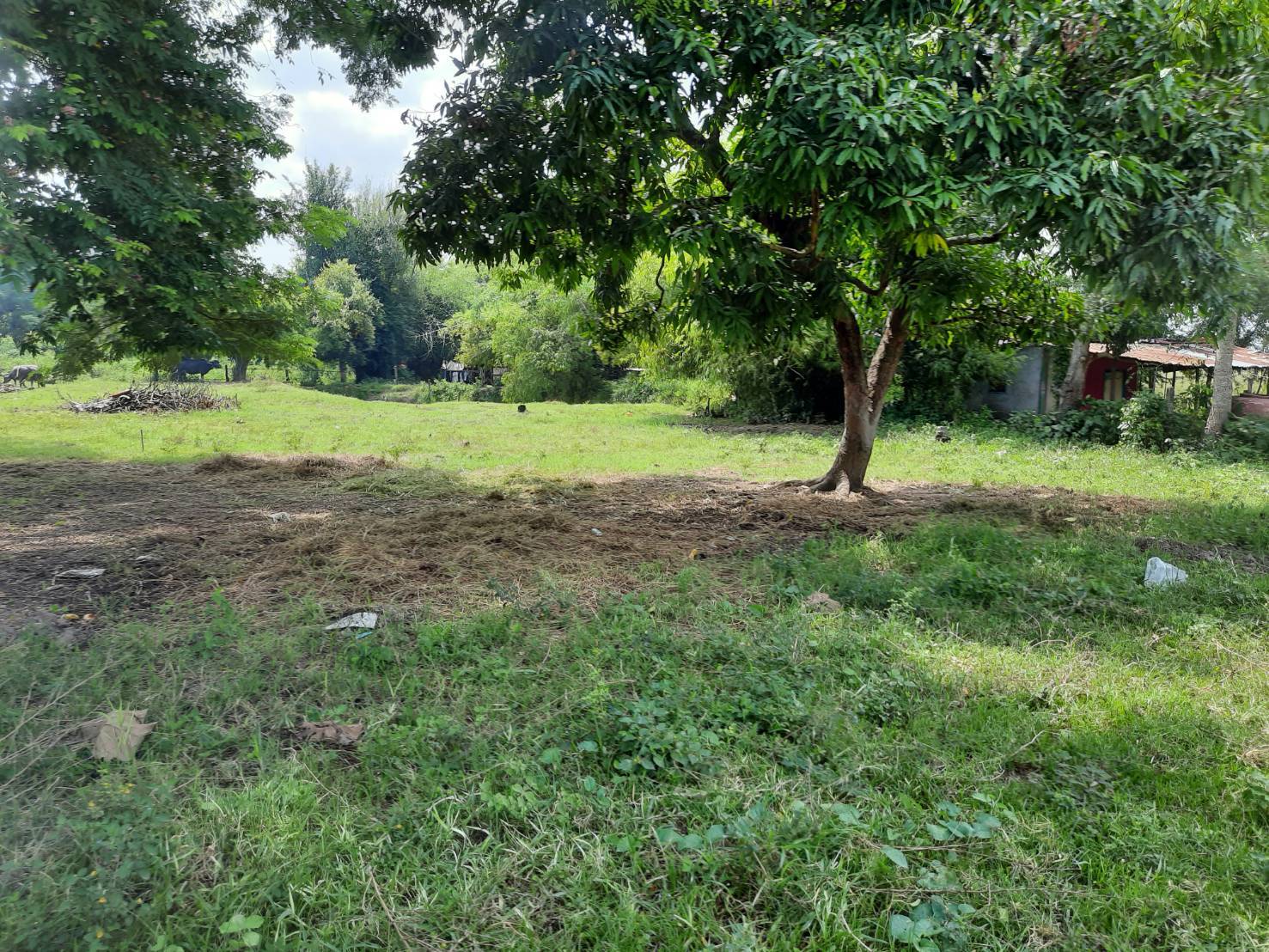 ขายที่ดิน 0-1-84 THB800,000  บ้านจั่น เมือง อุดรธานี