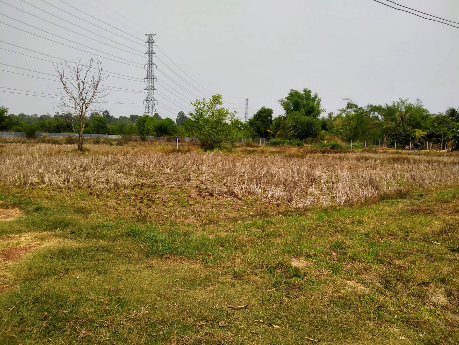ขายที่ดิน 0-3-85 THB1,200,000 หนองนาคำ เมือง อุดรธานี