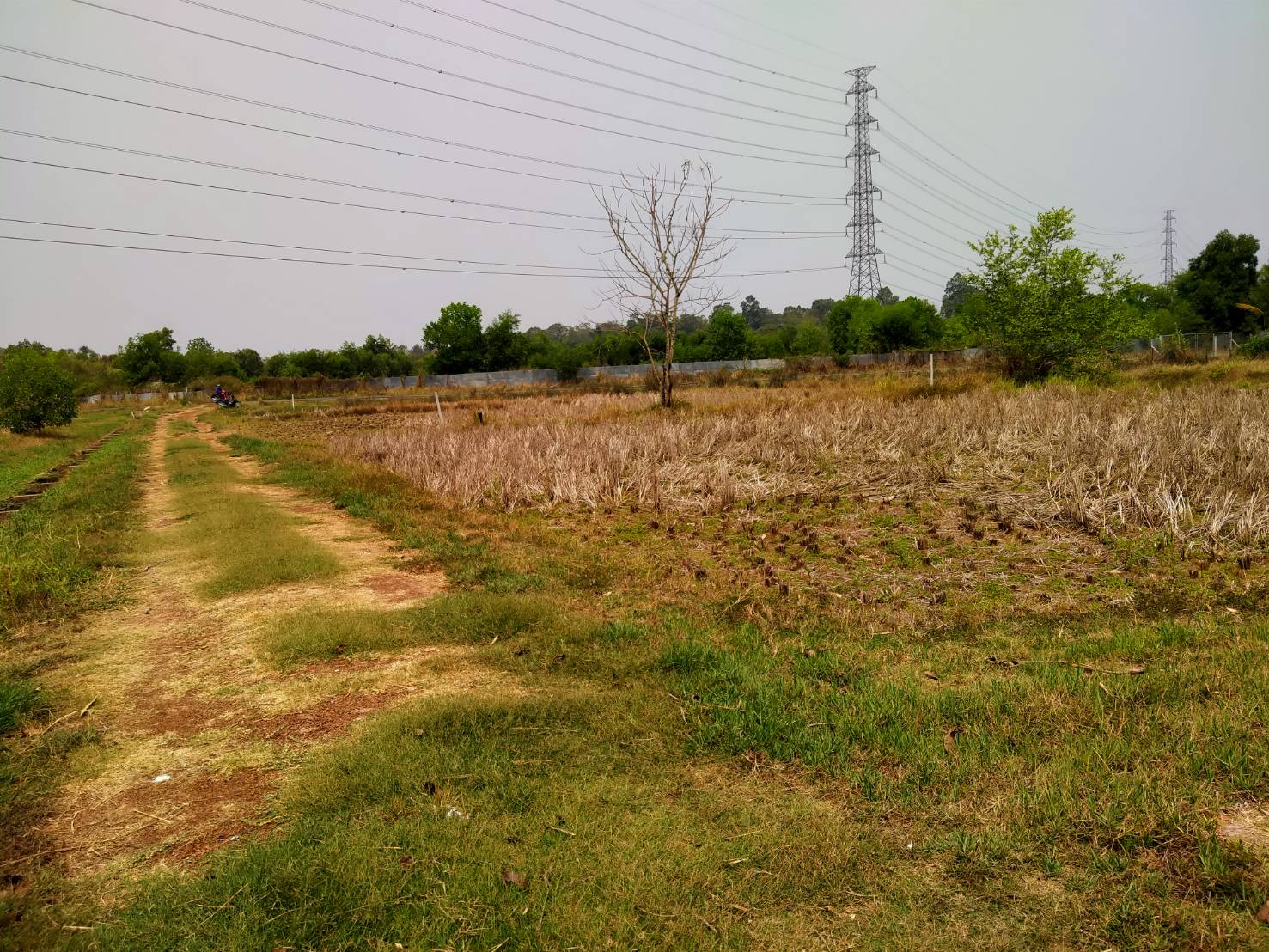 ขายที่ดิน 0-3-85 THB1,200,000 หนองนาคำ เมือง อุดรธานี