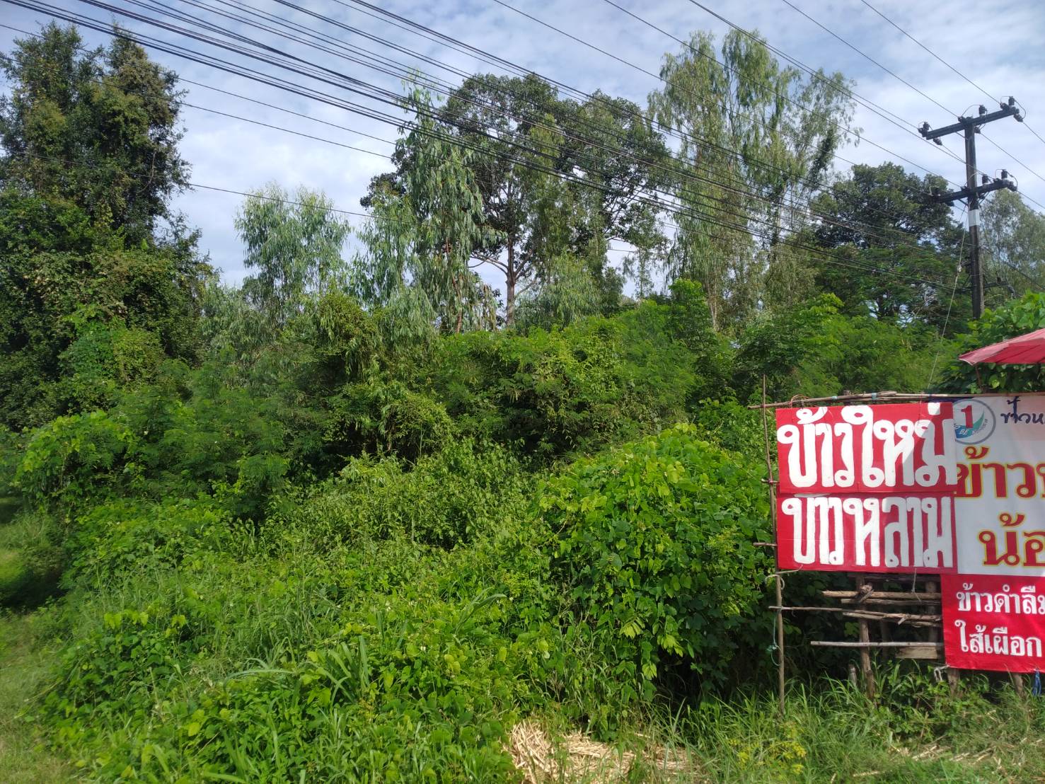 ขายที่ดิน 6-1-93 THB14,261,500 พันดอน กุมภวาปี อุดรธานี