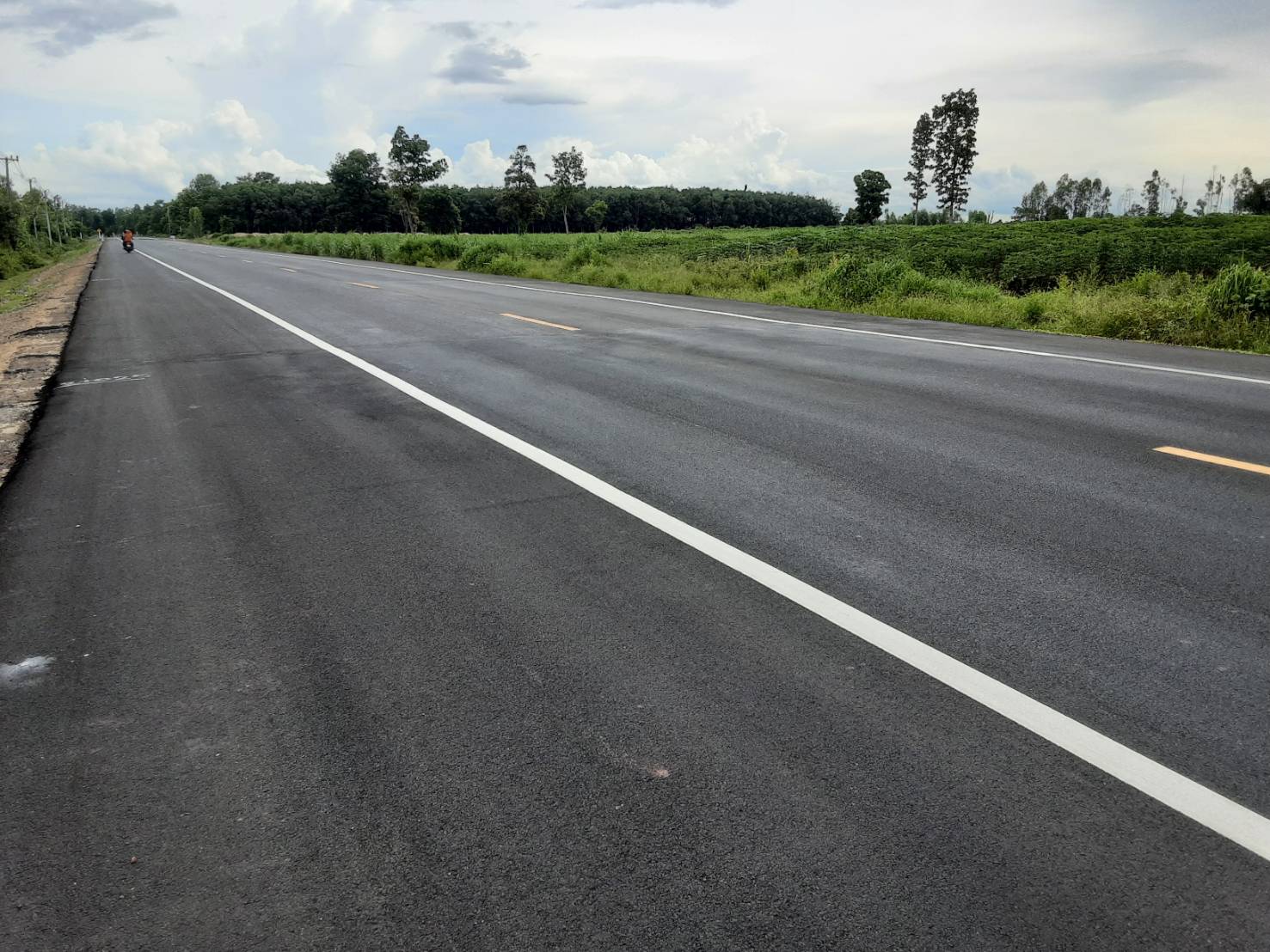 ขายที่ดิน 31-0-42 THB20,150,000 หนองบัว เมือง หนองบัวลำภู
