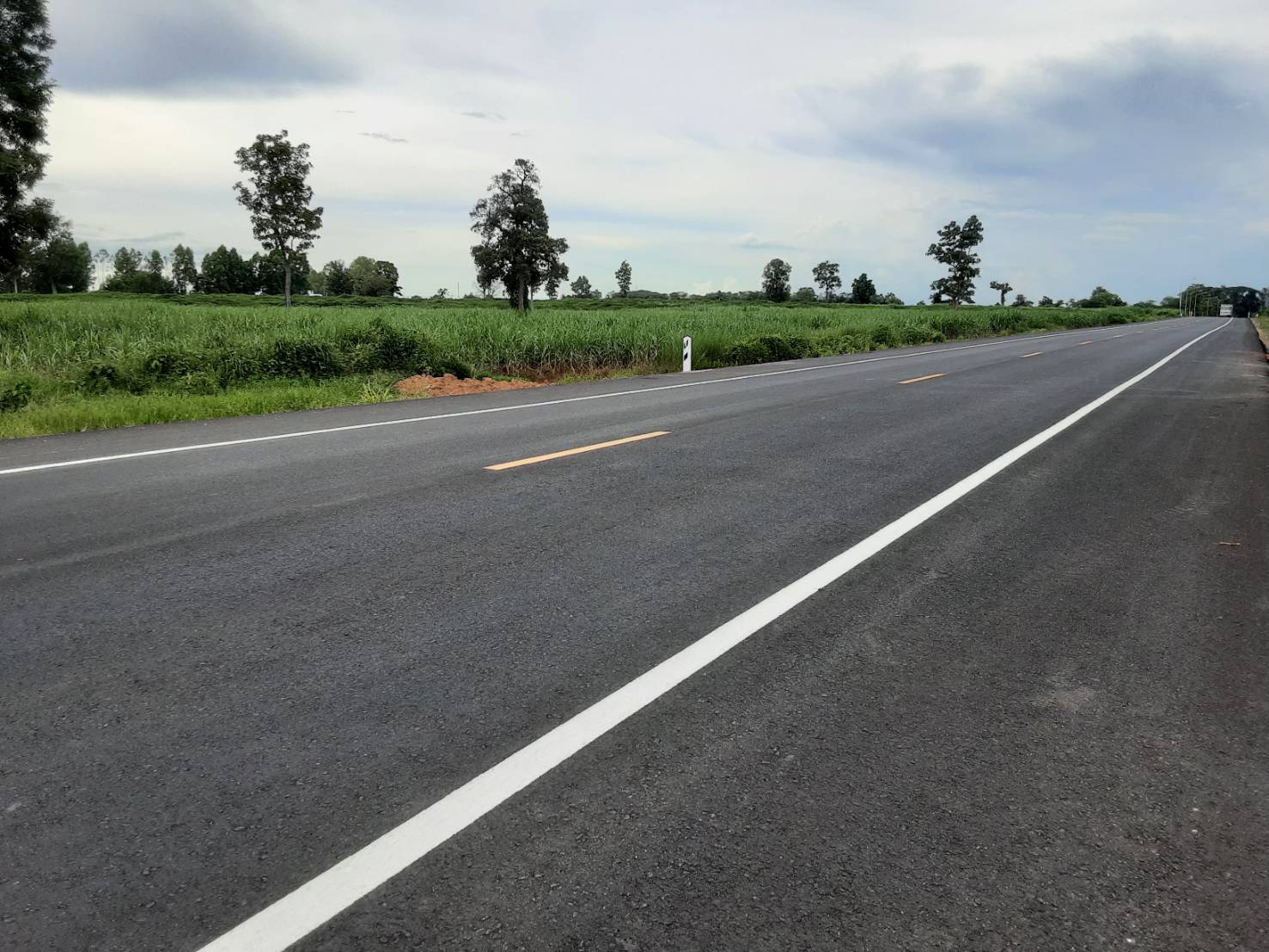 ขายที่ดิน 31-0-42 THB20,150,000 หนองบัว เมือง หนองบัวลำภู