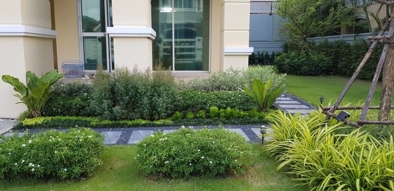 ABB27 House Baan Baramed : บ้านบารเมษฐ์ ซ.เฉลิมพระเกียรติ 62 ให้เช่า 50,000/ด.