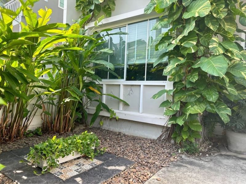 ABB97 หมู่บ้านเดอะวิลเลจ บางนา-วงแหวาน 2 กม. 10 บางพลีใหญ่, บางพลี, สมุทรปราการ ขาย 4,999,000 บาท