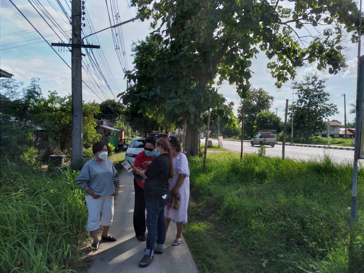 ขายที่ดิน 12-2-42 THB8,000,000 หนองบัวบาน หนองวัวซอ อุดรธานี