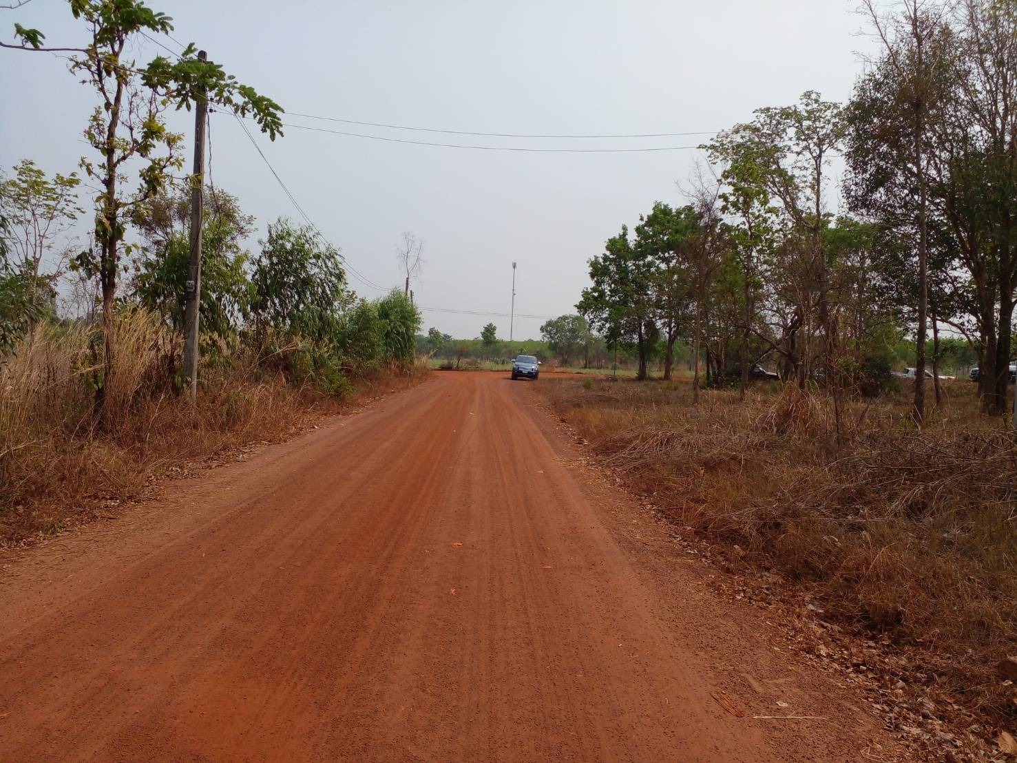 ขายที่ดิน 8-2-63.5 THB2,600,000 นาม่วง ประจักษ์ศิลปาคม อุดรธานี