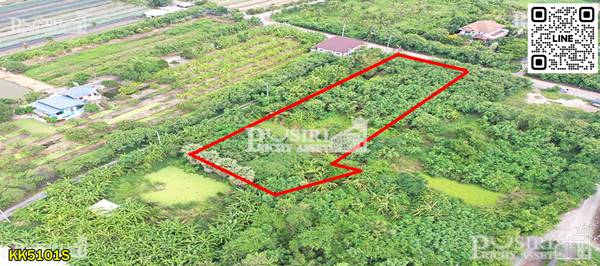 ที่สวย ใช้ทำโกดัง/ซื้อทำกำไร 1.5ไร่ ฮวงจุ้ยดี ทางทิศใต้รับลมตลอดปี ใกล้ถนนตัดใหม่กัลปพฤกษ์ – พุทธสาคร kk5101s